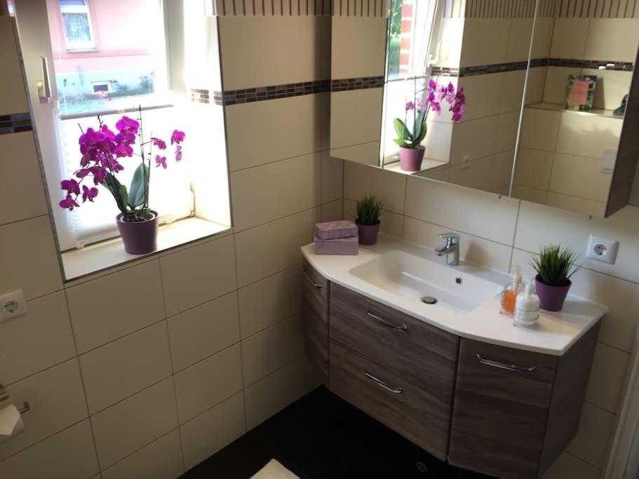 Ferienwohnung Madlein Rehna المظهر الخارجي الصورة